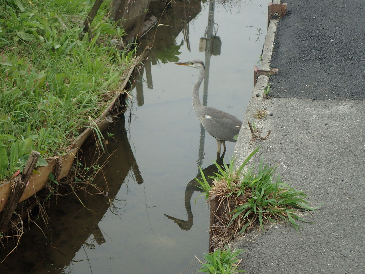 そぞろ寒 きままに季語
