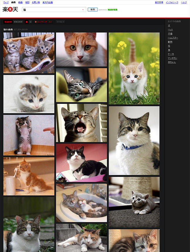 Rakuten Image Search