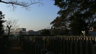 20100109桜山神社_10