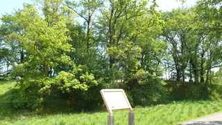 P1320734