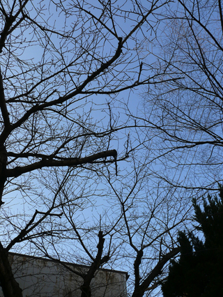 20100109高杉晋作終焉の地_004