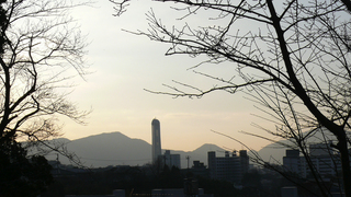 20100109桜山神社_02