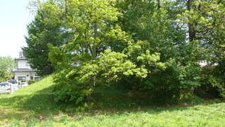 P1320732