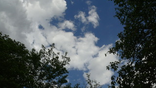 P1320819