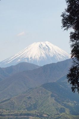山頂からの富士