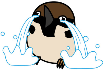 02雀の涙