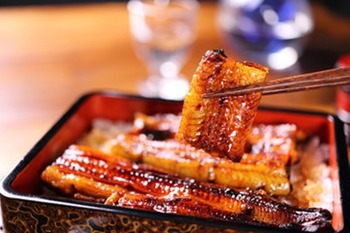 鰻の高値