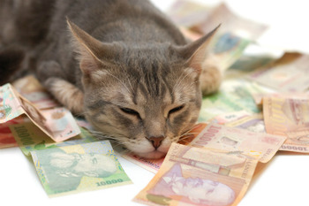給料、引かれる年金額