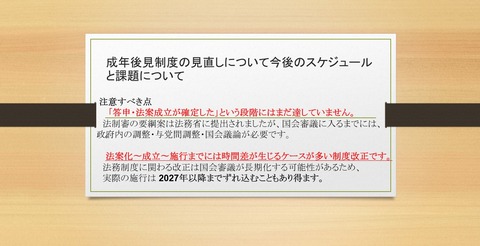 成年後見制度見直しスケジュール