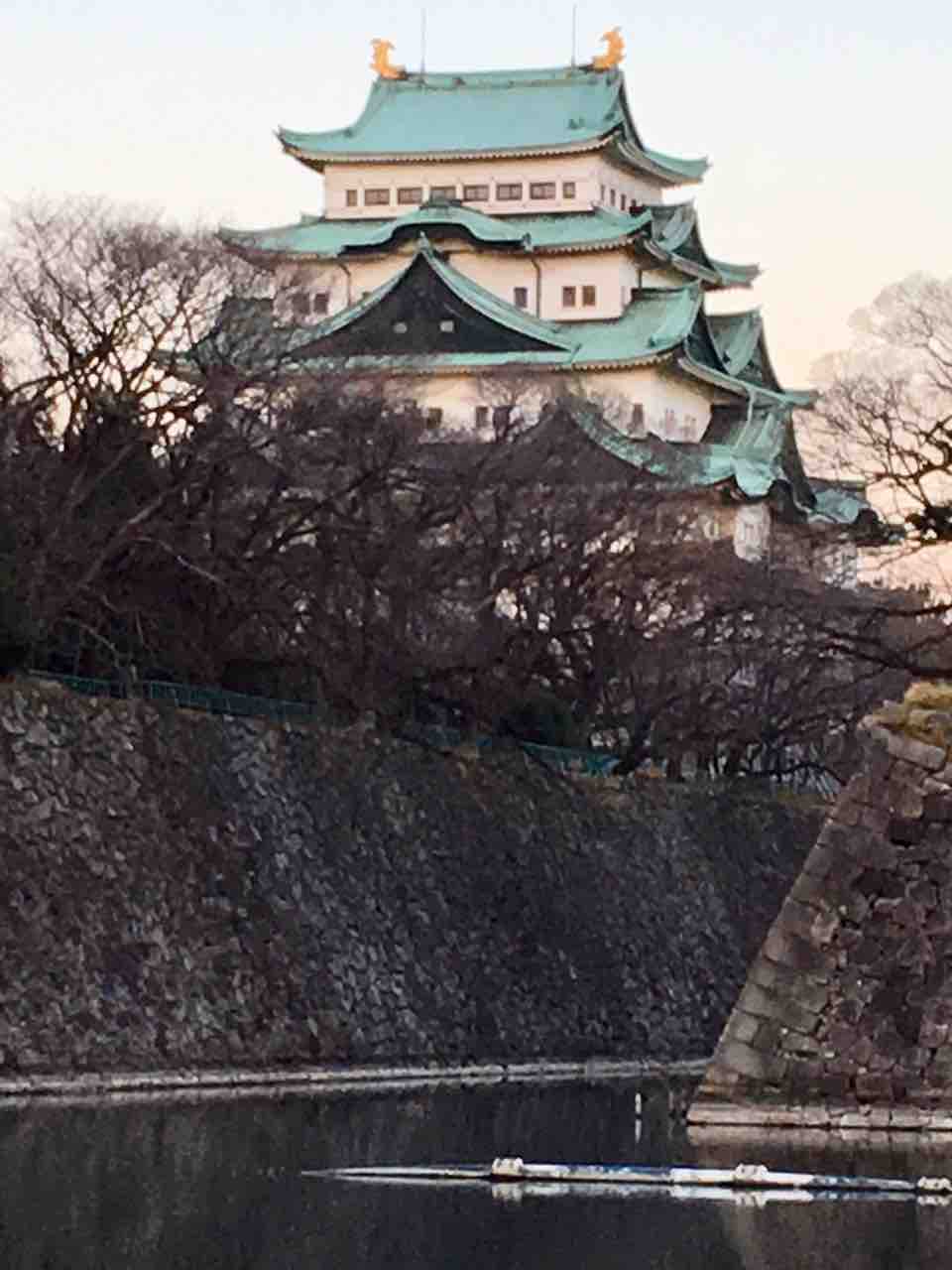 名古屋城ライトアップ編 夜空に浮かぶ巨大天守 年を刻む 年輪