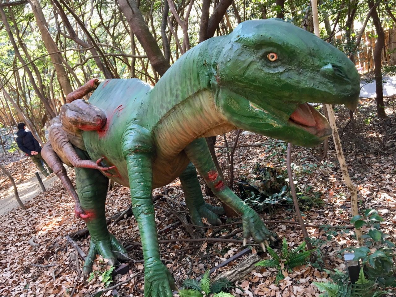 ディノアドベンチャー名古屋 緑区 大高緑地の森を歩いて恐竜探検 年を刻む 年輪