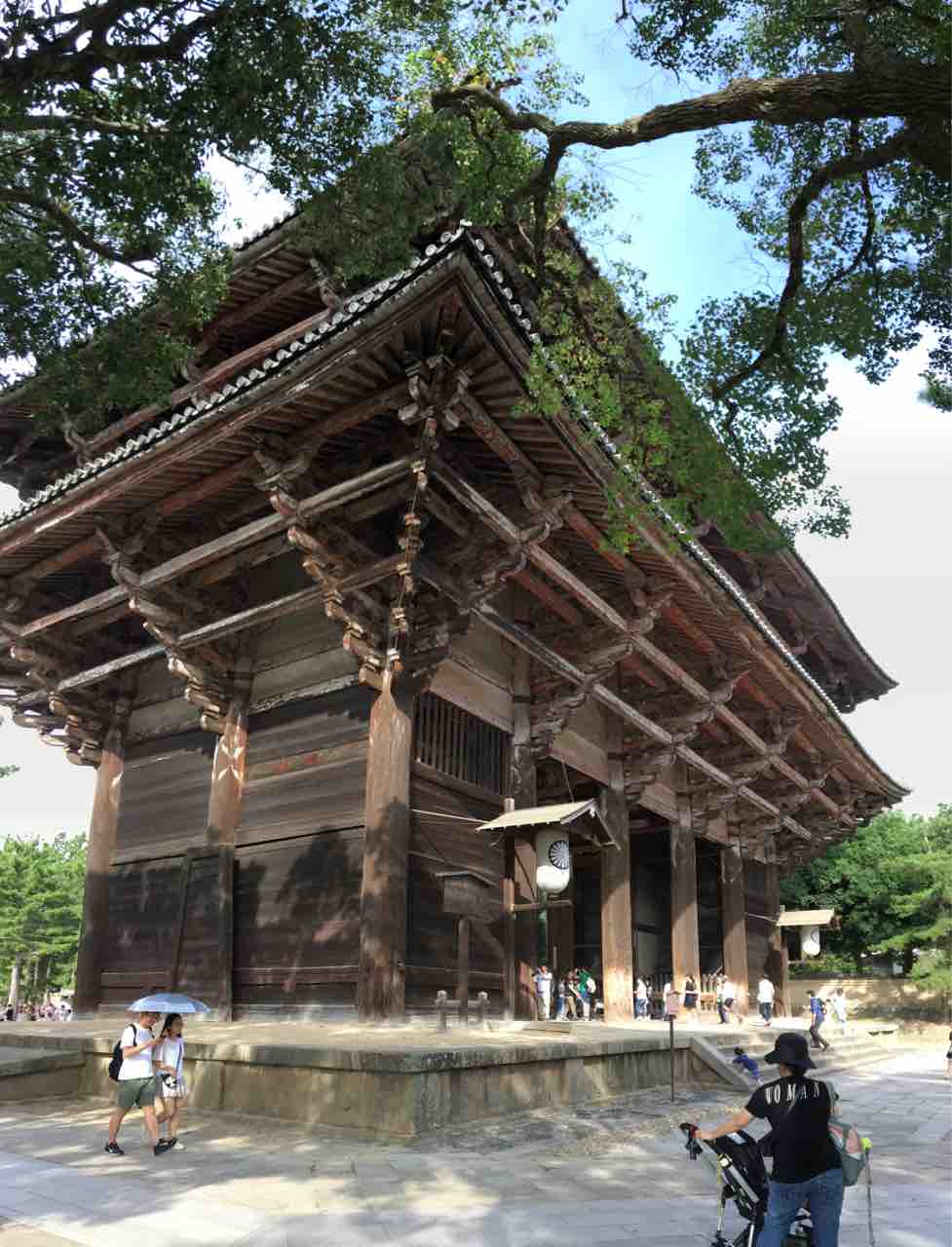 東大寺南大門の仁王尊 奈良市 運慶率いる慶派仏師たちの最高傑作 年を刻む 年輪 東大寺南大門の仁王尊 奈良市 運慶率いる慶派仏師たちの最高傑作 年を刻む 年輪