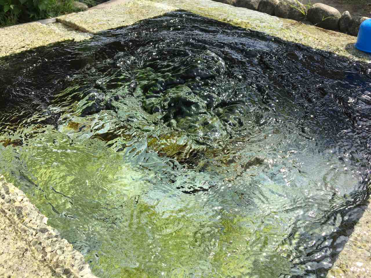 あんぱちの天然水 安八町 天然水と温泉を求めて 年を刻む 年輪