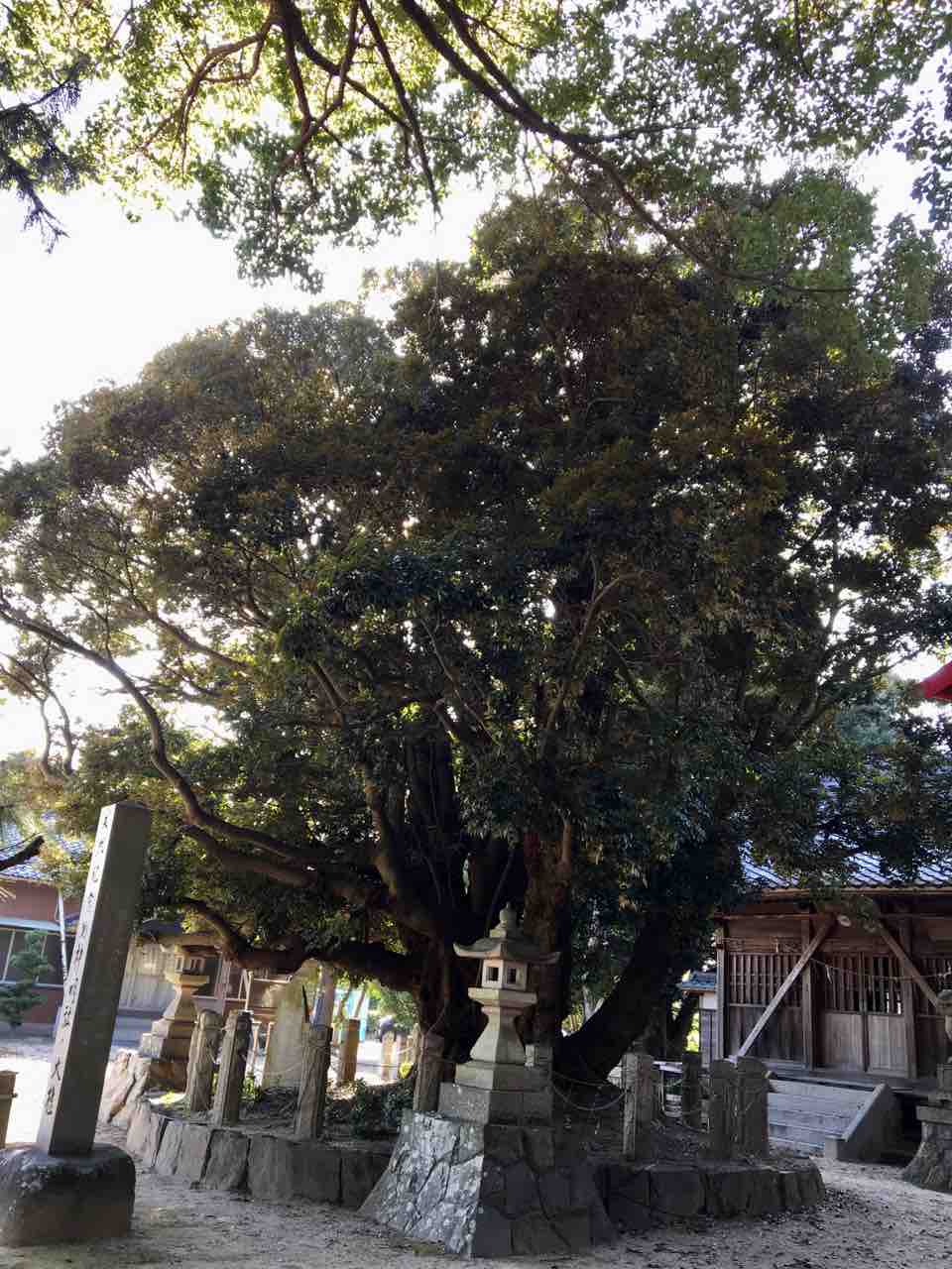 鬱蒼たる