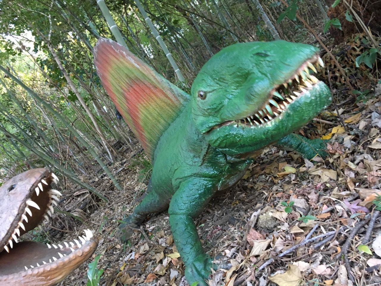 ディノアドベンチャー名古屋 緑区 大高緑地の森を歩いて恐竜探検 年を刻む 年輪