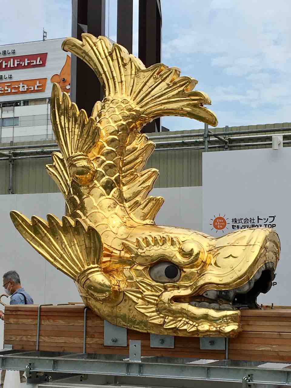 名古屋城金シャチ降臨 金色に輝くシャチホコを間近で観る 触れる 年を刻む 年輪 名古屋城金シャチ降臨 金色に輝くシャチホコを間近で観る 触れる 年を刻む 年輪