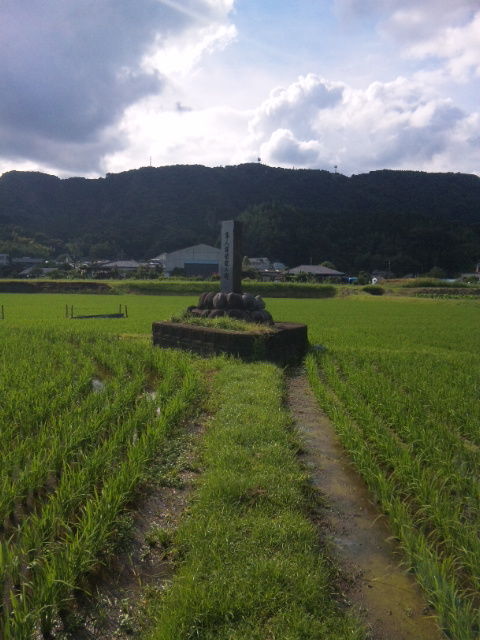 古跡探訪録 : 隼人塚（隼人の首塚:鹿児 …