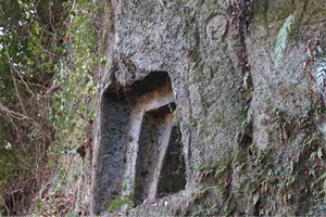 IMG_4244