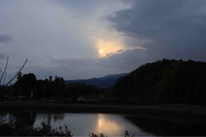 IMG_3791