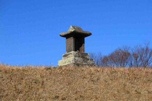 IMG_4337