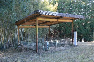 IMG_4103