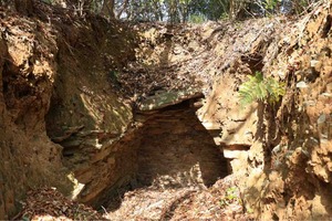 IMG_8100