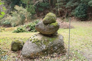 IMG_3790