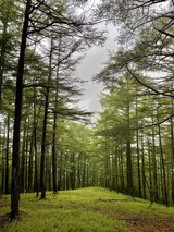 IMG_0525