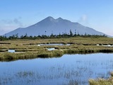 IMG_0297