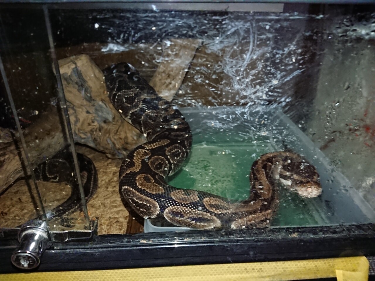 まだ春は先ですが 今日もテキトーに