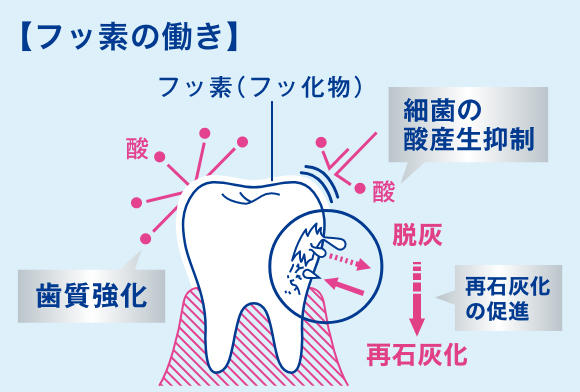 歯磨き後のうがいについて 堺の歯科医院 ナカノ初芝歯科クリニックのブログ