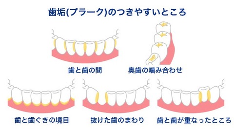 松吉　写真 2