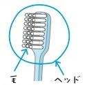 伊藤1