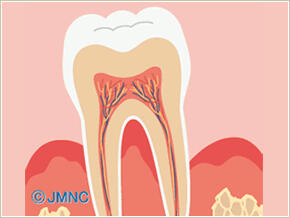 井上３月ブログ写真