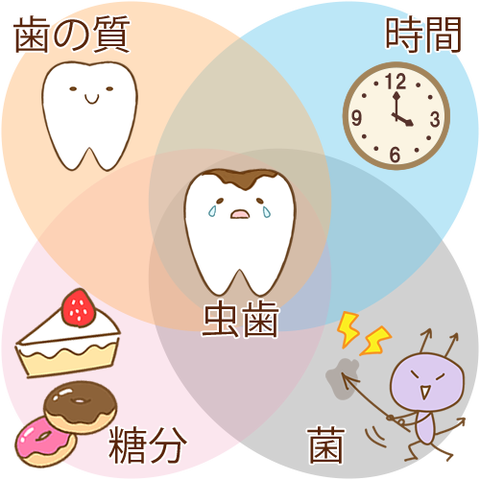 伊藤写真