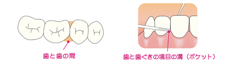 伊藤写真４