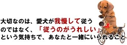 森田誠の愛犬と豊かに4