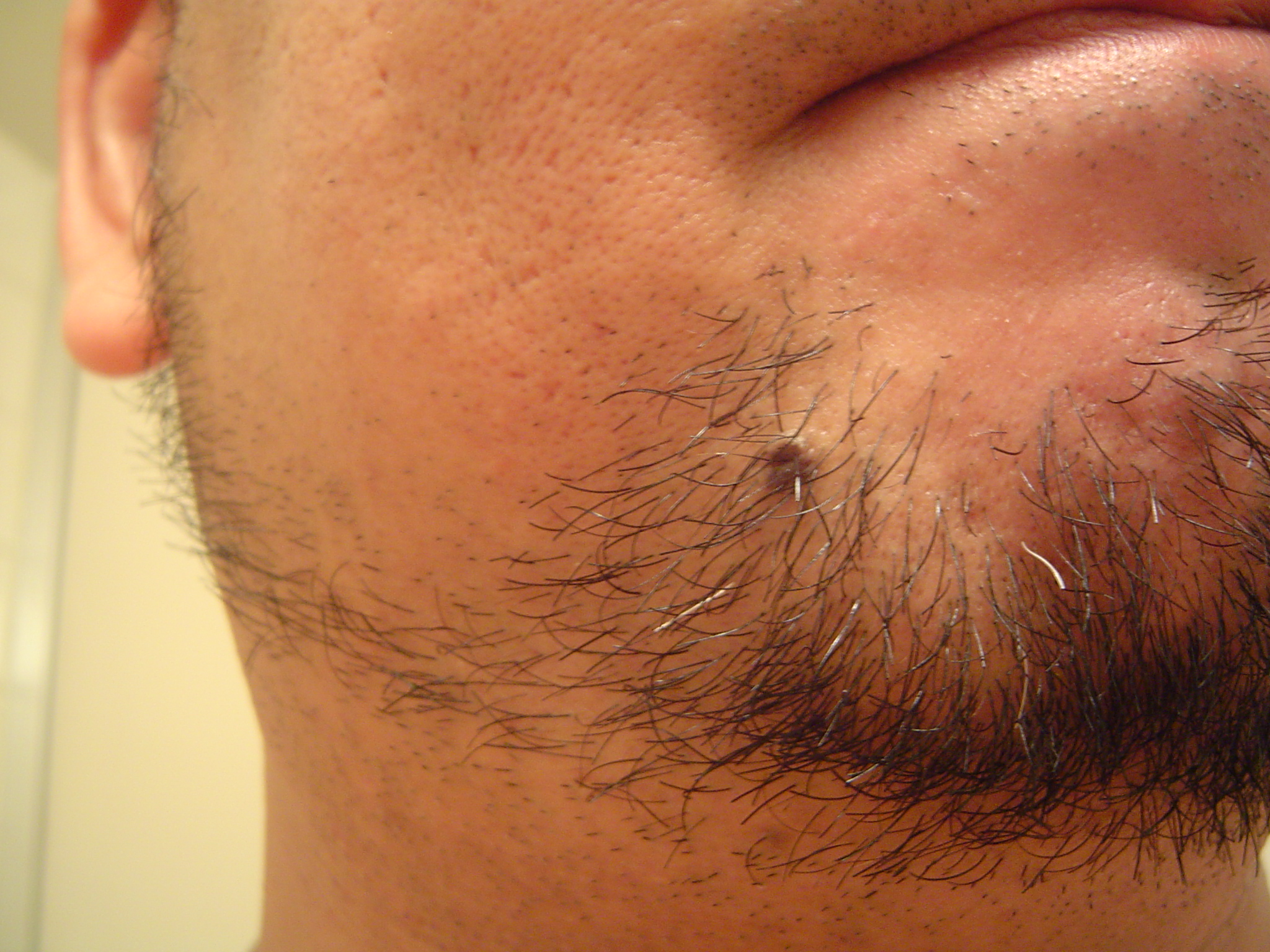 ボクノ髭 ねーやんのショウ自記モン