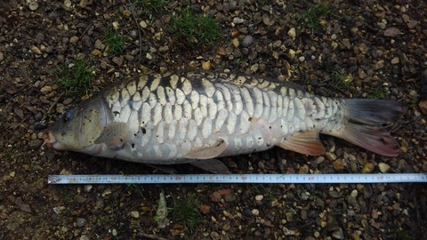 KIMG2450