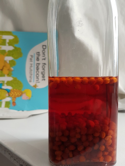 the world of the neanderthal のblog livedoor blog