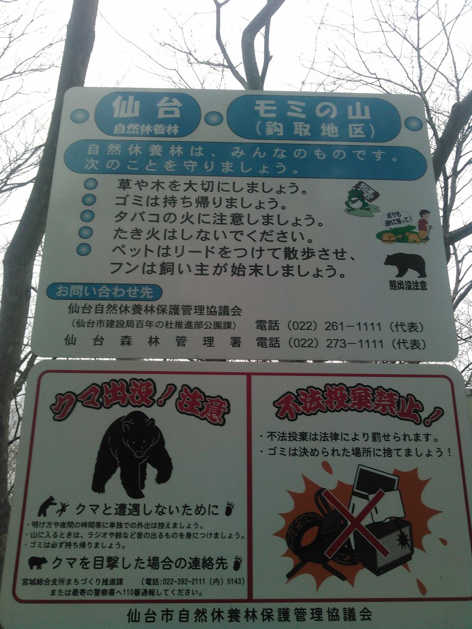 16年02月 The World Of The Neanderthal のblog 16年02月 The World Of The Neanderthal のblog