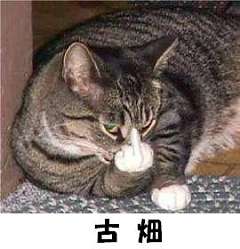 中根外務大臣政務官とシコティ・アンゴラ共和国外務大臣の会談｜外務省  