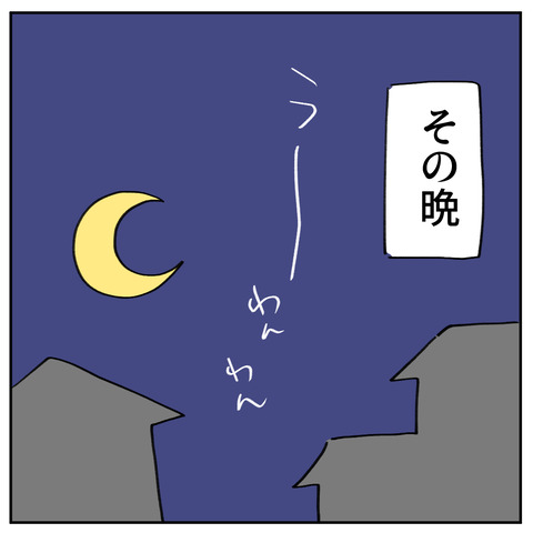 40_4