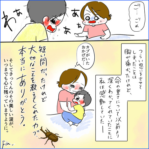 kabutomusi10