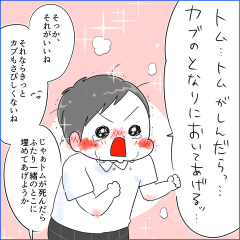 kabutomusi15