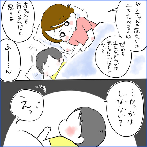 kabutomusi5