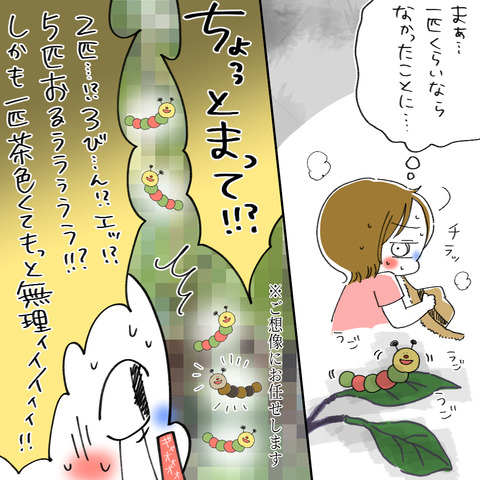 いも6