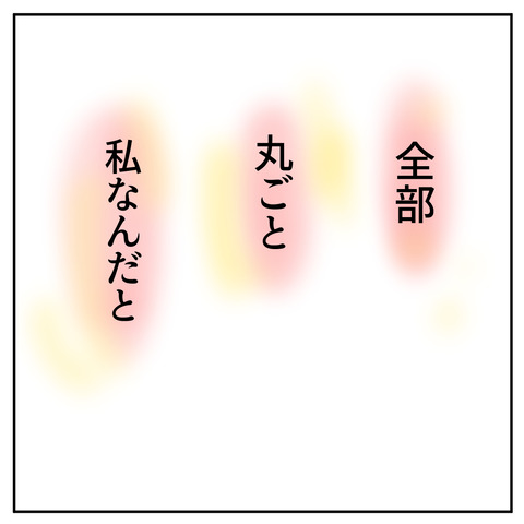 48_3
