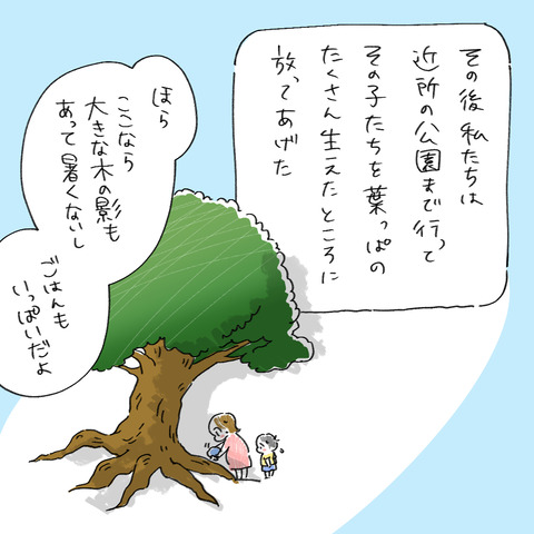 いも23