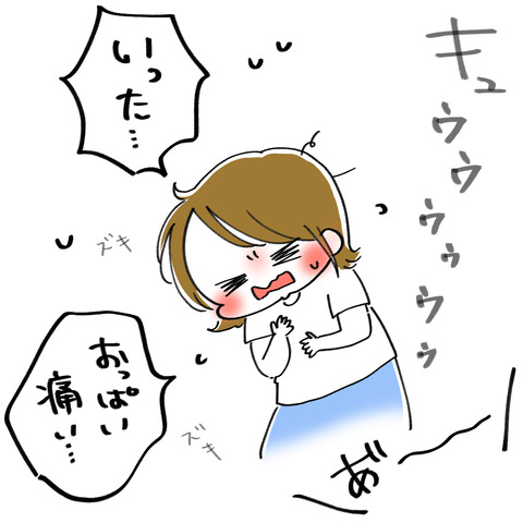 1.2clip